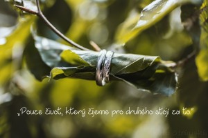 Okrus White snubní prsteny z bílého zlata