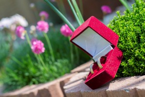 Sony Colour RW snubní prsteny z kombinovaného zlata