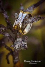 Eleanor Colour GW snubní prsteny z kombinovaného zlata