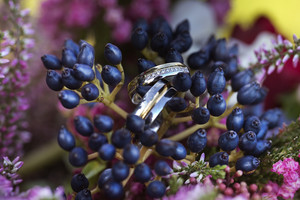 Viola Colour GW snubní prsteny ze žlutého a bílého zlata