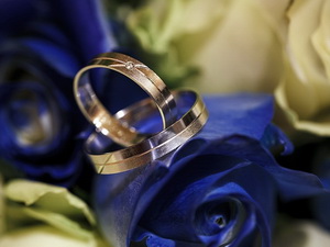 Arlen White snubní prsteny ze bílého zlata