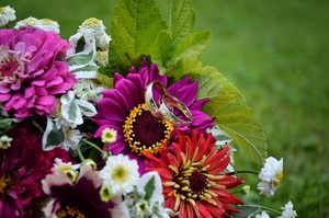 Saturnino Colour GW zlaté zdobené snubní prsteny