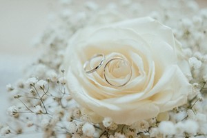 Lacerta White snubní prsteny z bílého zlata