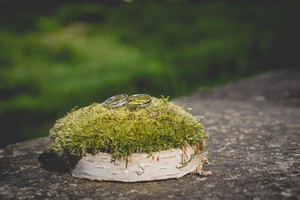 Ludvika White snubní prsteny z bílého zlata