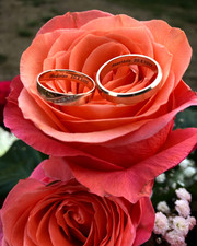Krasava Red snubní prsteny z červeného zlata