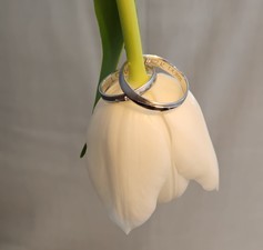 Mariko White snubní prsteny z bílého zlata