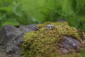 Constanza Silver stříbrné svatební snubní prstýnky