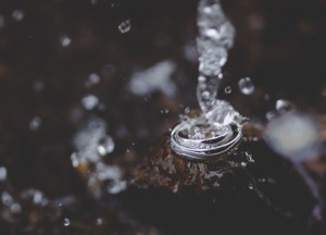 Okrus White snubní prsteny z bílého zlata