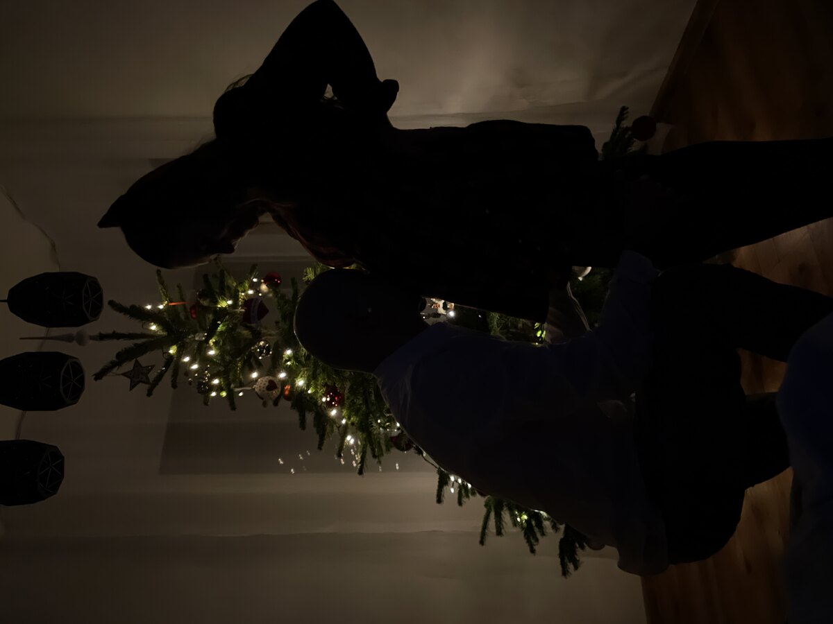 Další kapitola začíná