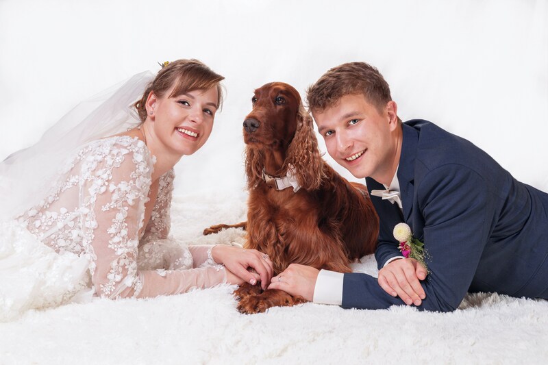 Daisy lehni a tvař se šťastně