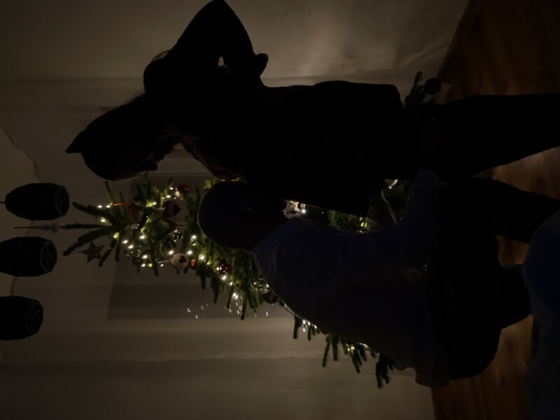 Další kapitola začíná