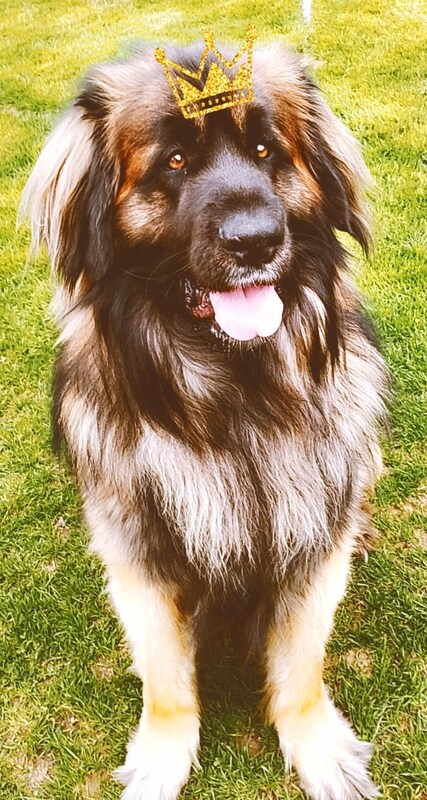 Max