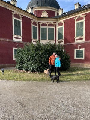 Láska 
