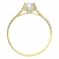 Apolonia Gold  prsten ze žlutého zlata